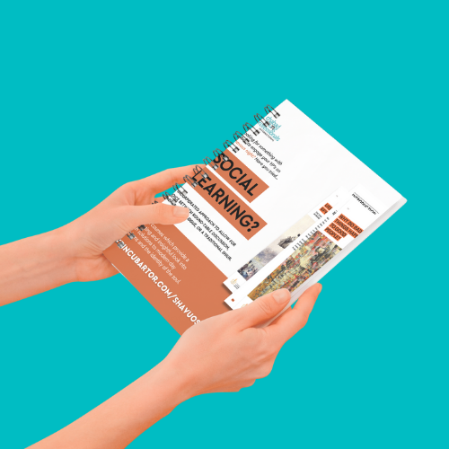 Social Learning - Is big bother watching?